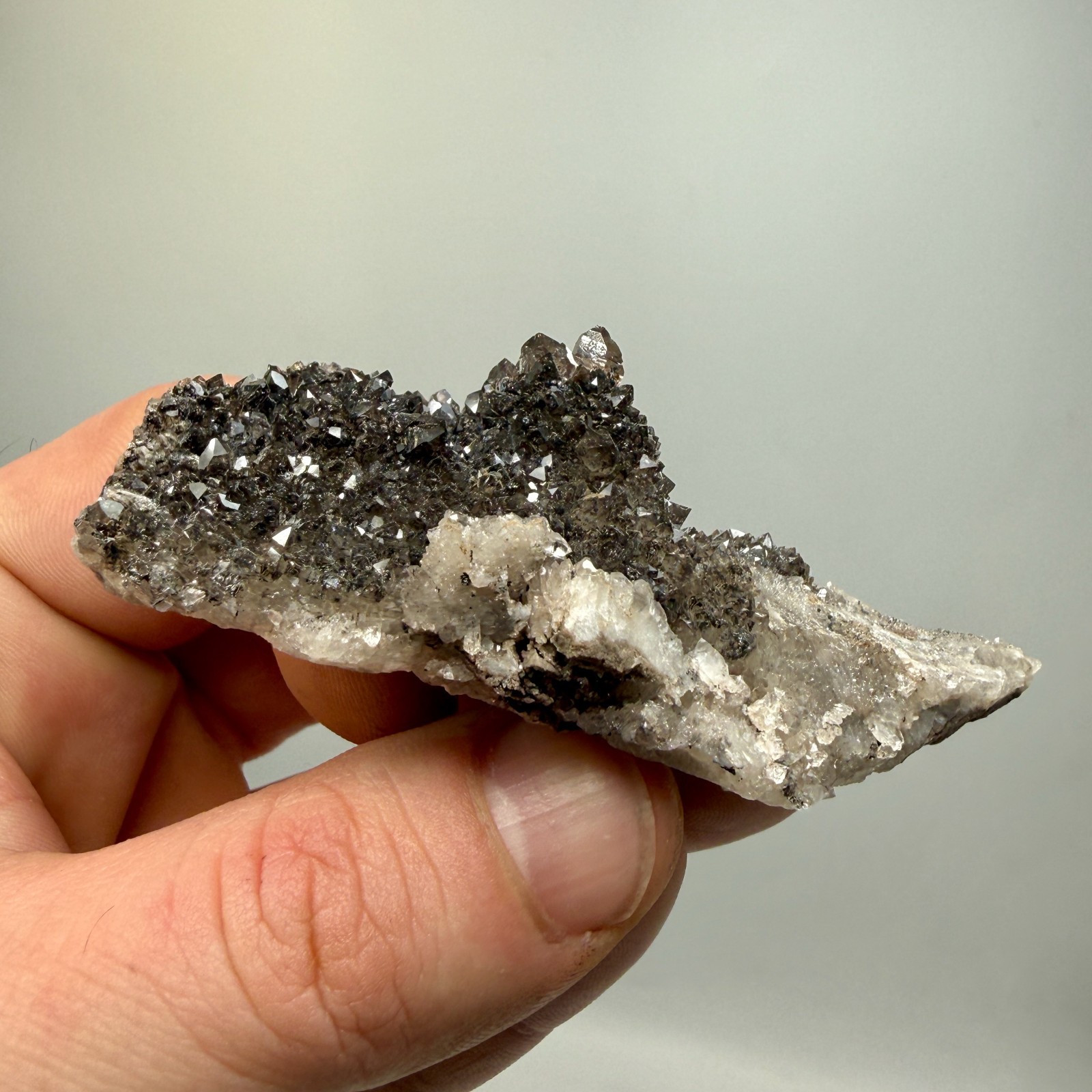 Black Druze with Hydrocarbon Phantom Percher Herkimer Diamonds, Rare Matrix!