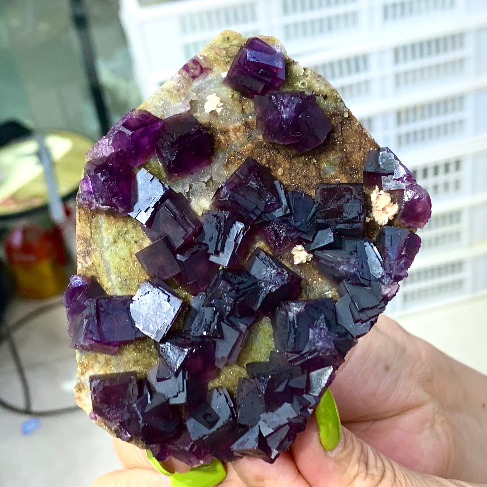 331G Rare Purple cubic fluorite mineral crystal sample/Zhejiang