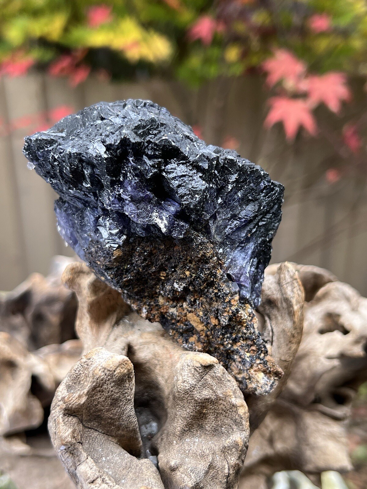 Blue John Fluorite Mineral Specimen United Kingdom 342g 8