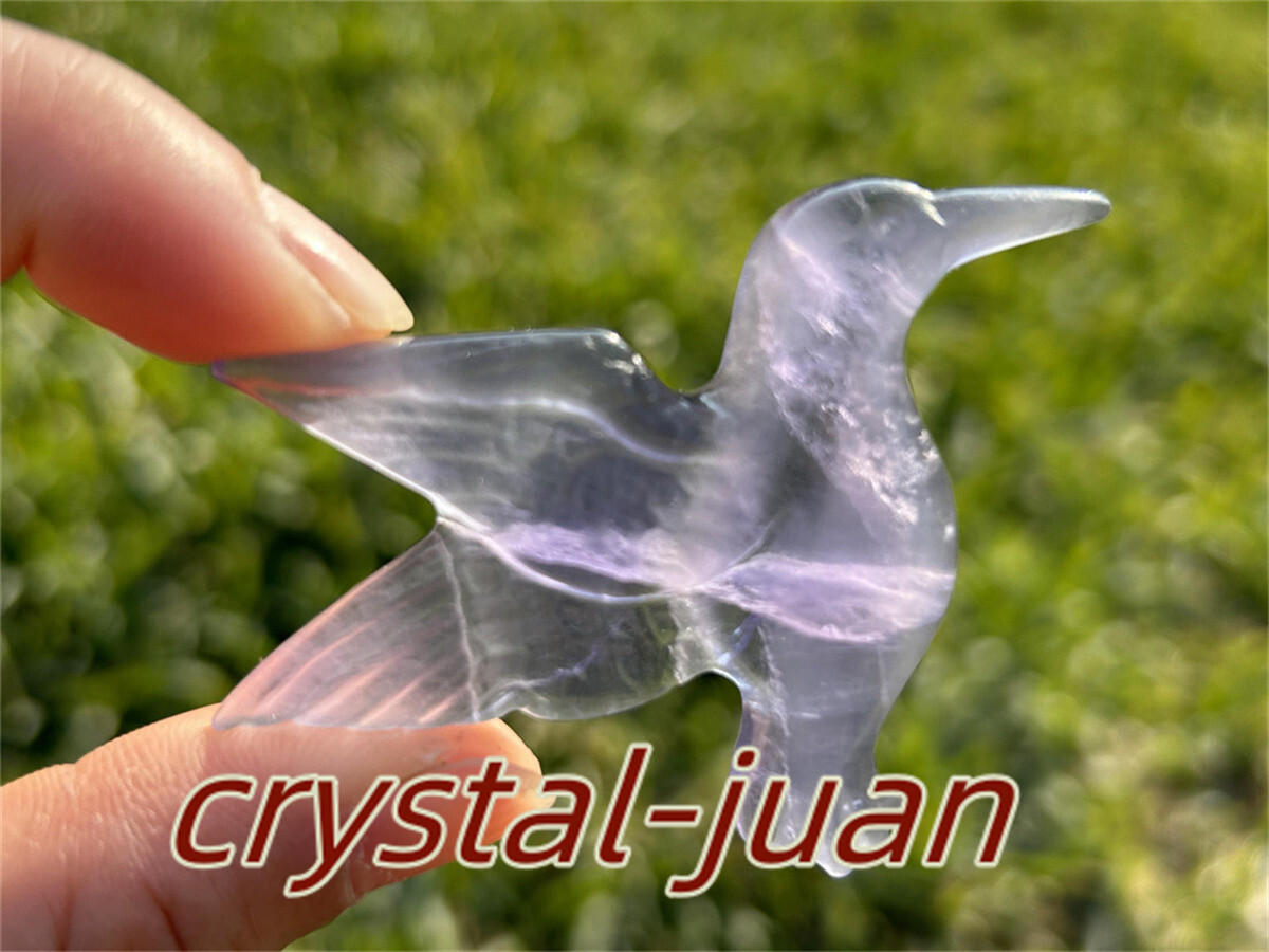2″+ Natural Fluorite humming bird skull Carved Quartz Crystal skull Reiki heal