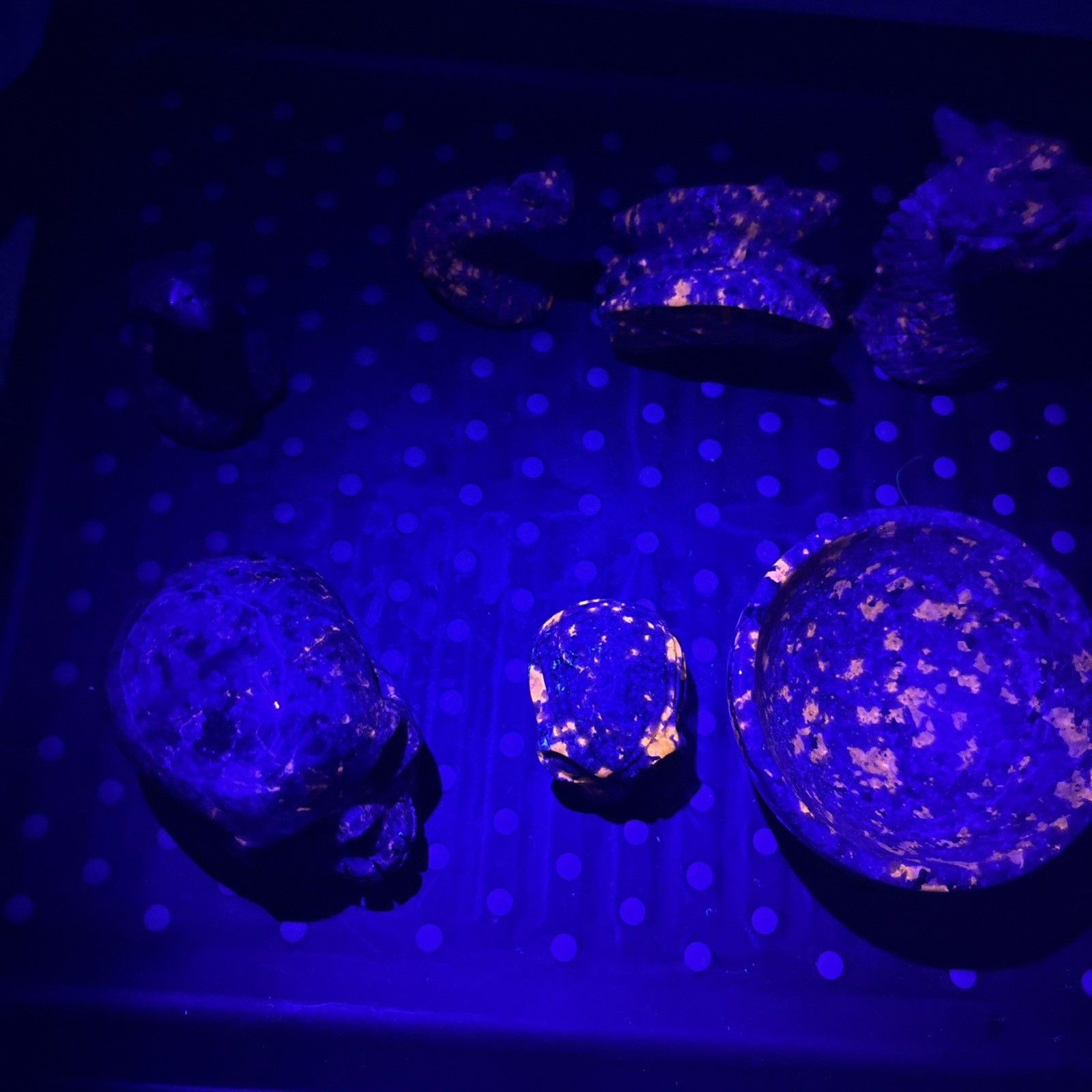 Lot Of 7 Yooperlite Crystals Alien Skull Dragon Godzilla Snake Bowl Gravestone