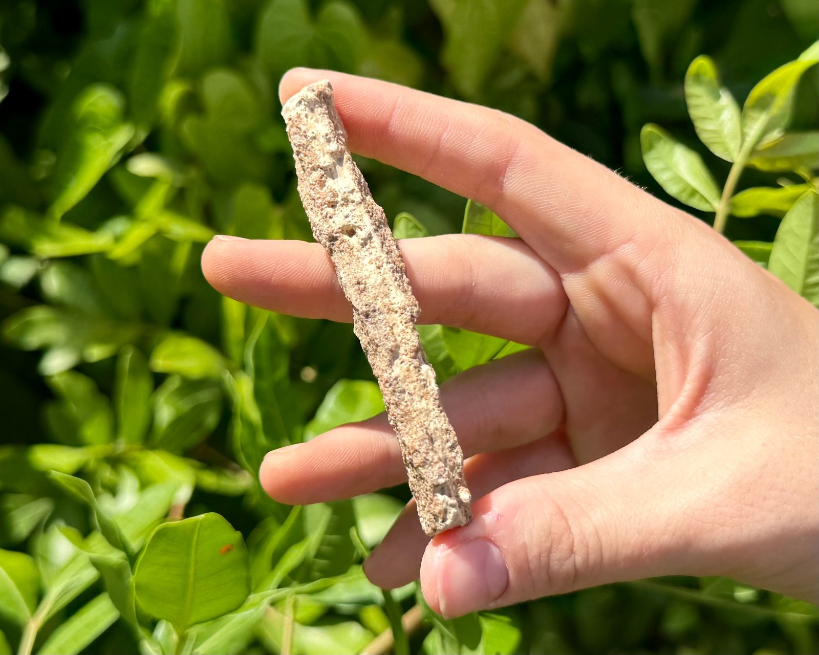 RARE Fulgurite Crystals, Natural Lightning Formed Fulgurite Wholesale Bulk Lots