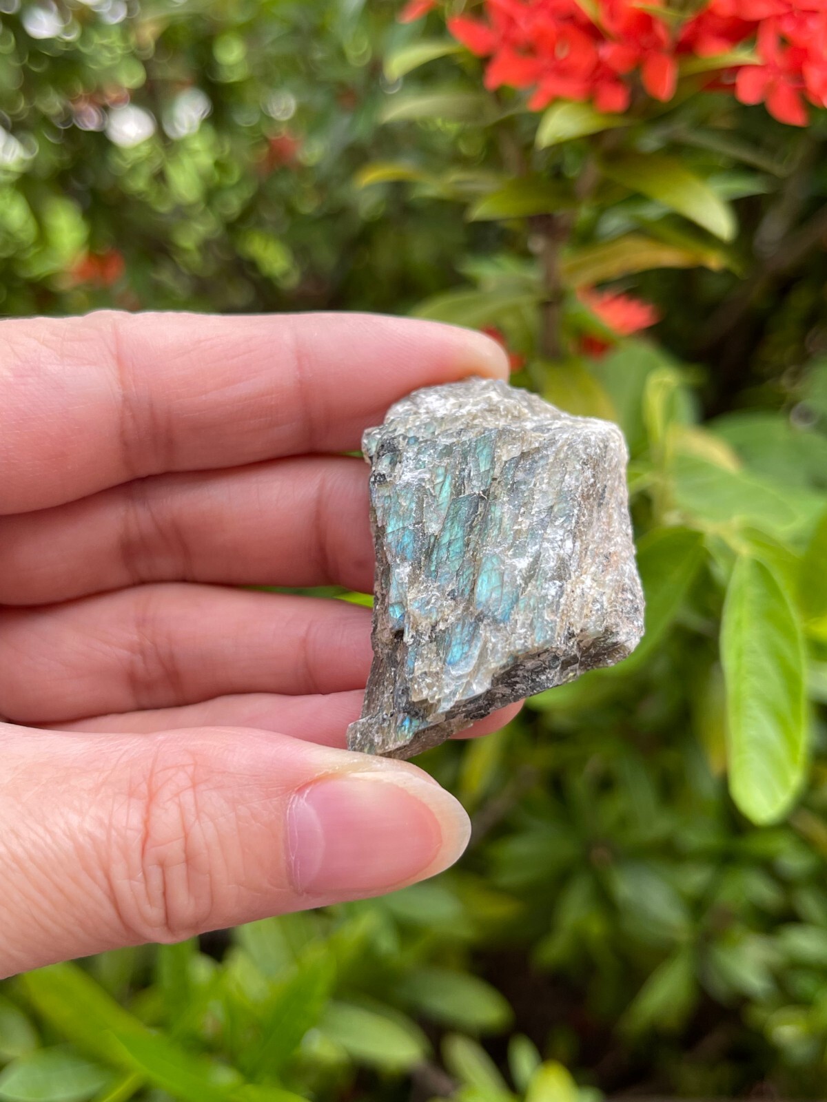 Grade A++ Labradorite Raw Natural Stone, 1″-2″ Rough Labradorite, Wholesale Lot