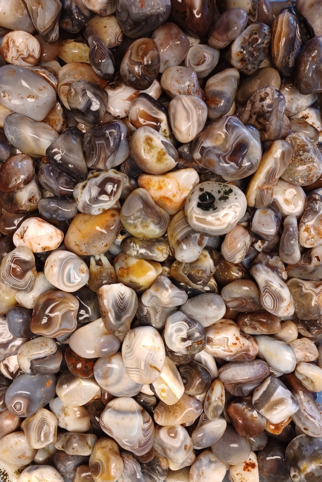 Botswana Agate rough 1-2″ A+ pound lbs tumbling lapidary banding wholesale bulk