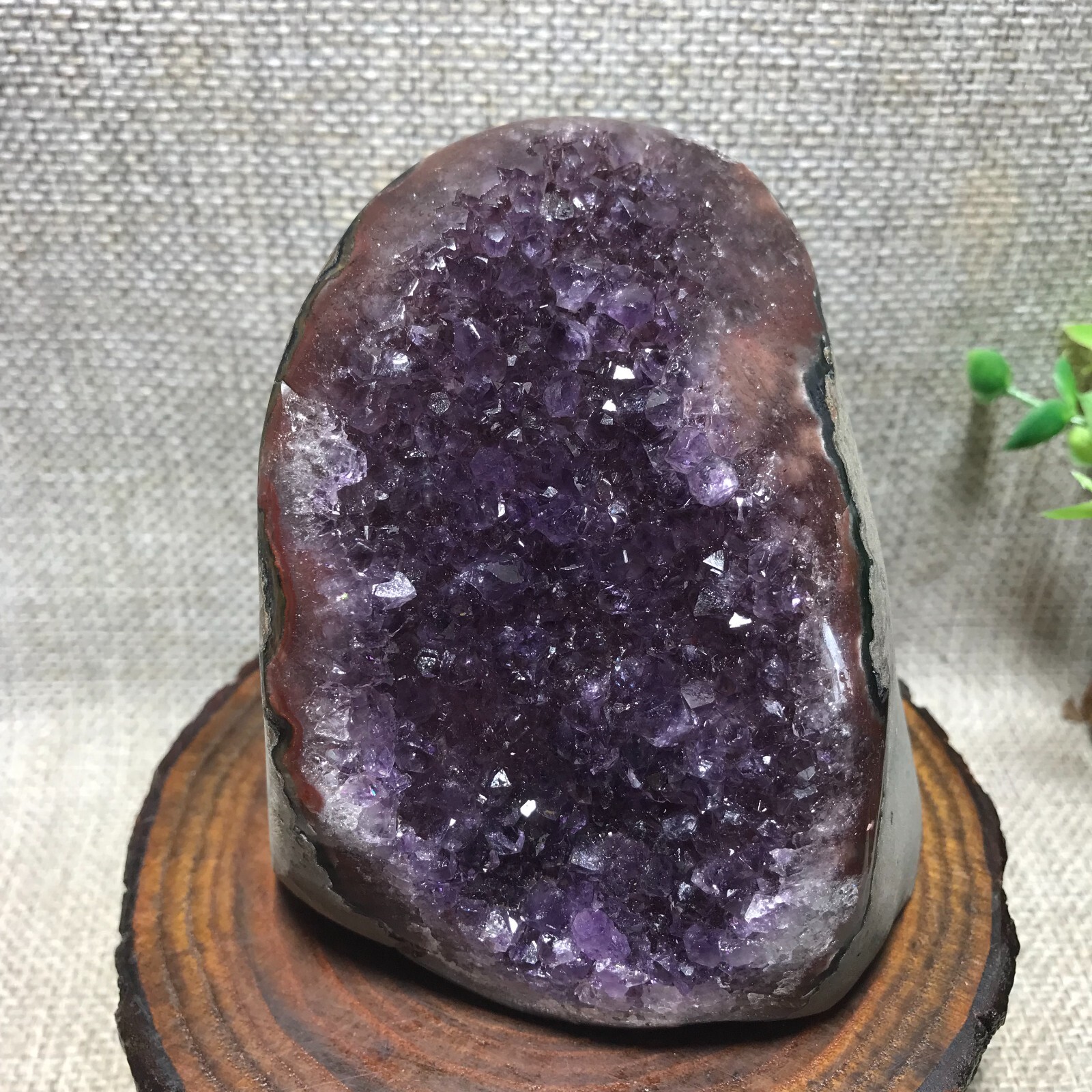 785g Natural Amethyst Cluster Geodes Cut Base Quartz Crystal Healing Specimen 66