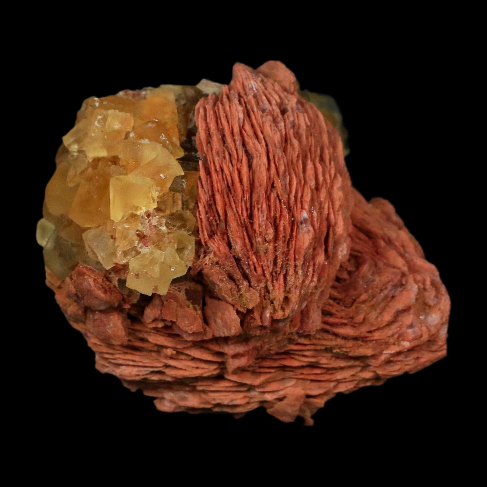 2.7″ Yellow Fluorite on Orange Barite Blade Crystals Minerals Taouirirt Morocco