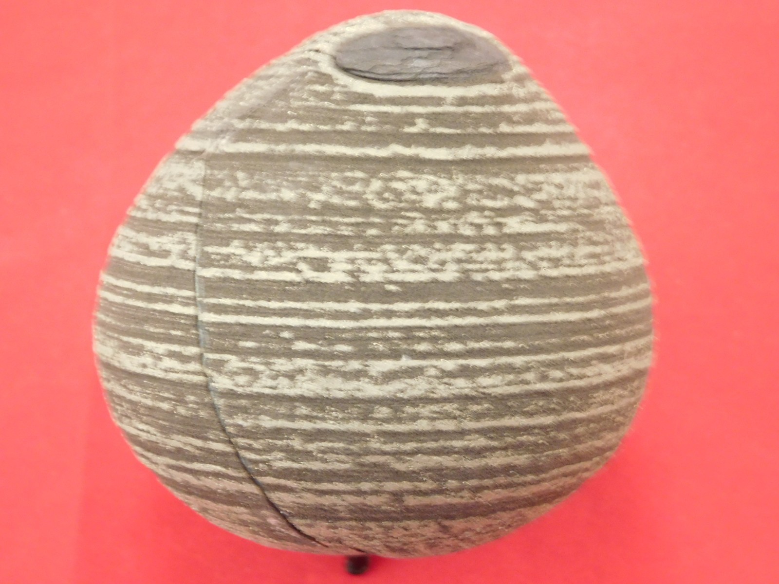 BIG! 100% Natural Ringed PYRITE Concretion From China! With Stand 1241gr