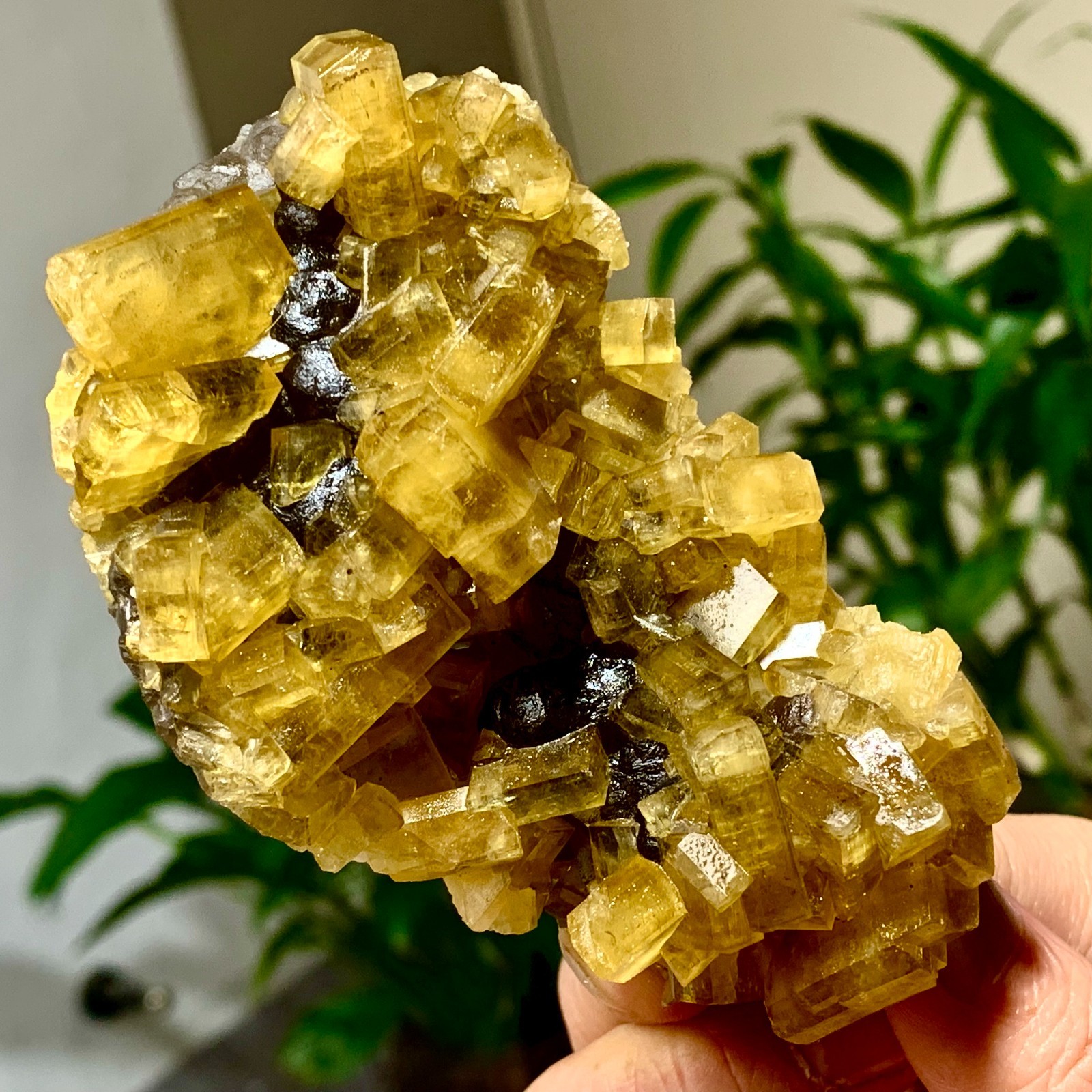 300G Shiny Golden Cuboid Barite Crystal Based on the Purple Spherical Fluorite