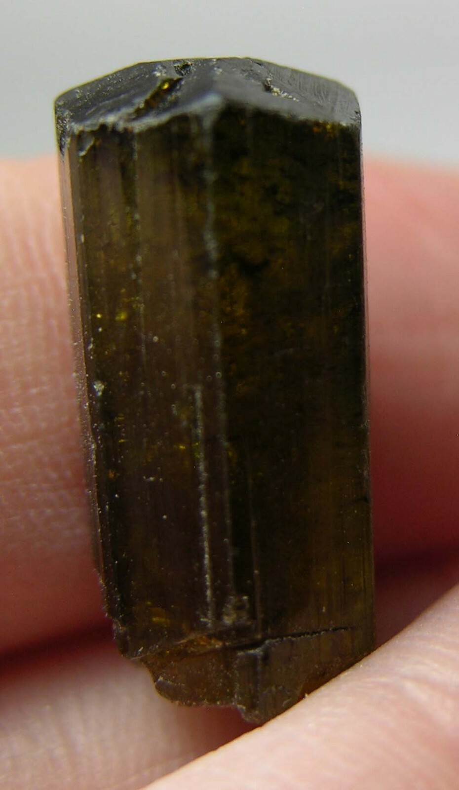 #3 Vietnam 13.80ct Natural Terminated Watermelon Tourmaline Crystal 19mm 2.70g