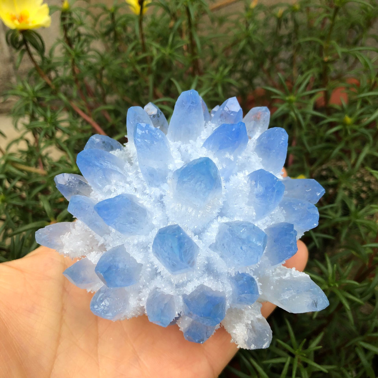 300g+ New Find Blue Phantom Quartz Crystal Cluster Mineral Specimen Healing Gift