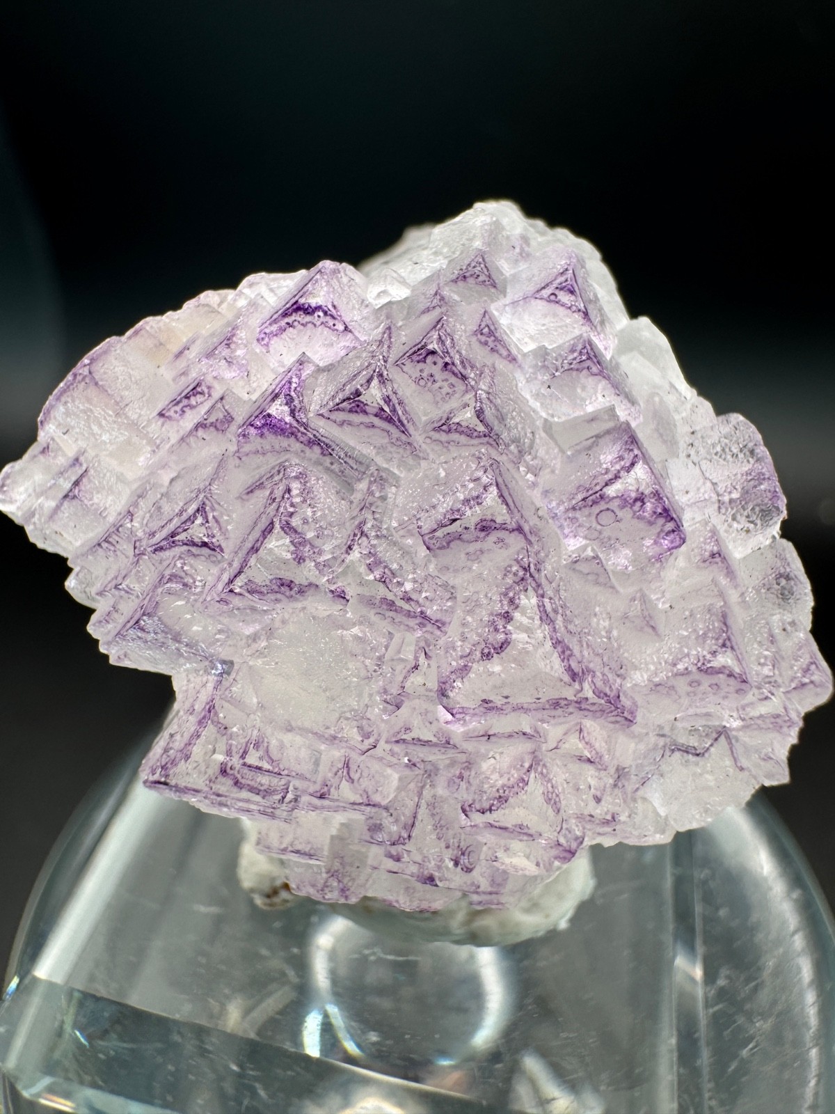 6836 NEW Database Fluorite Purple Triangle Yun Nan in Perky Box 34g