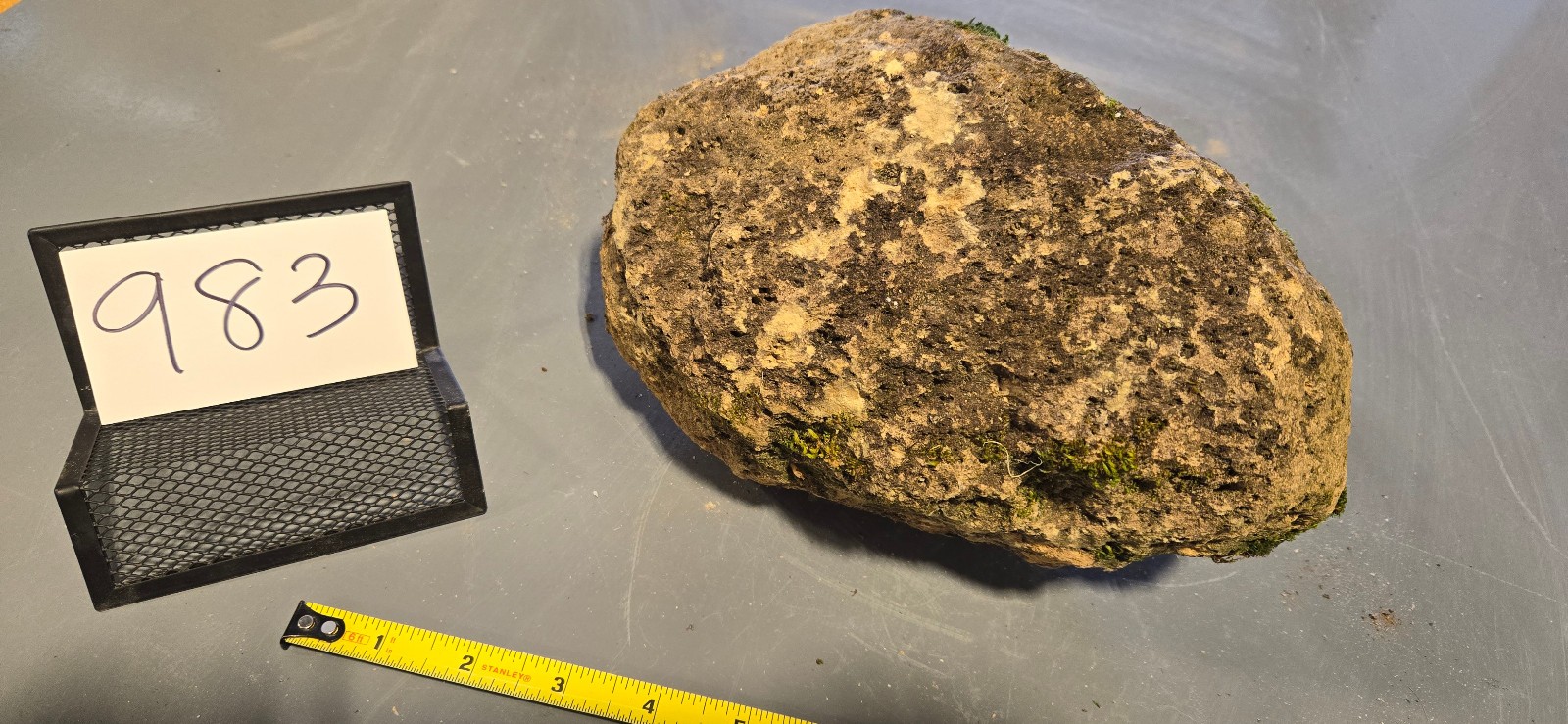 9″ Large Pumice Stone Floating Natural Rock Carnivorous Succulent Garden #983
