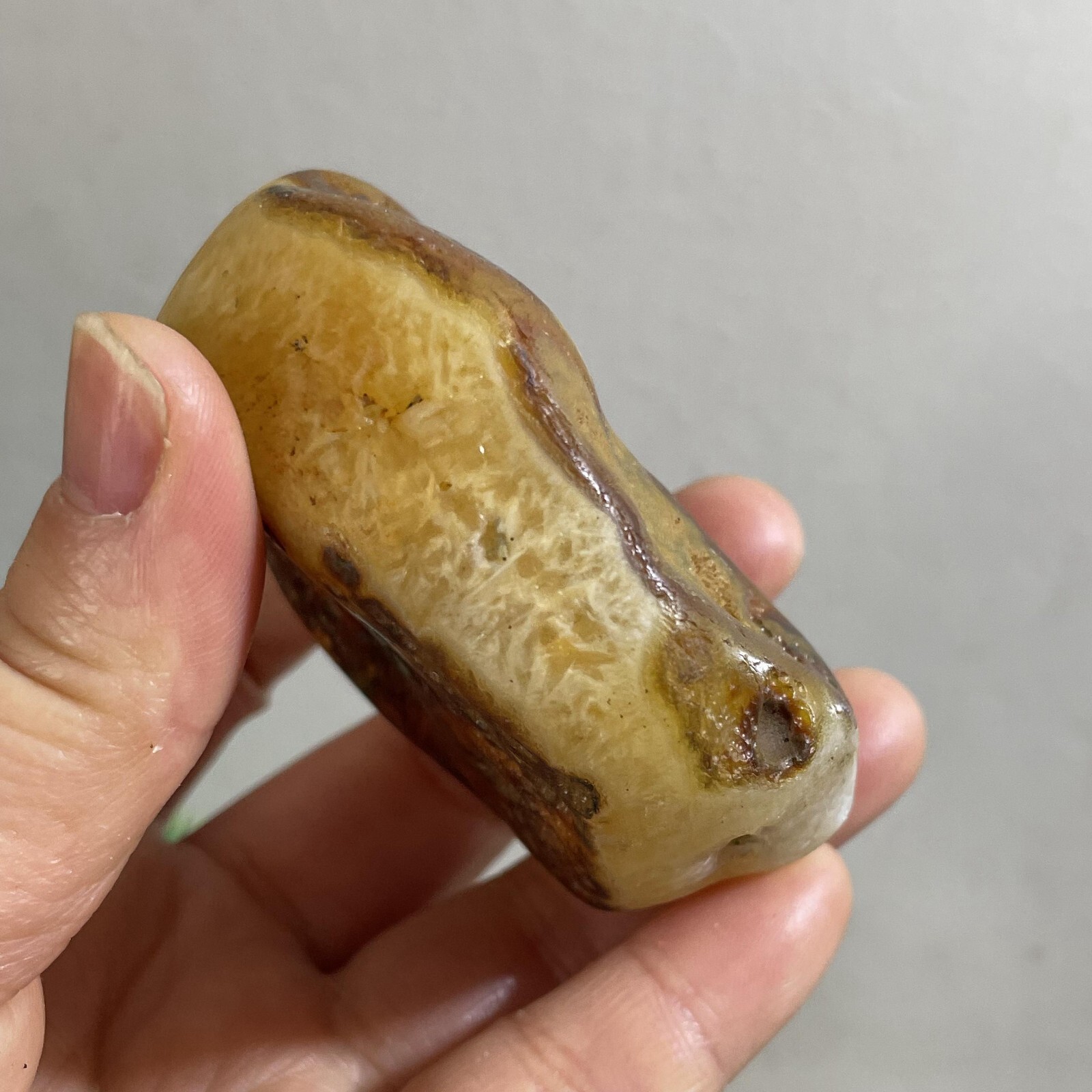 205g Bonsai Suiseki- Gobi Agate Eyes Stone-Rare Stunning Viewing
