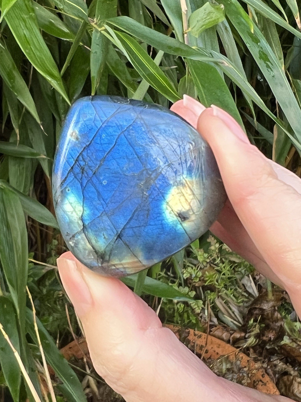 Deep Blue Labradorite Freeform Iridescent Crystal AAA+ 7