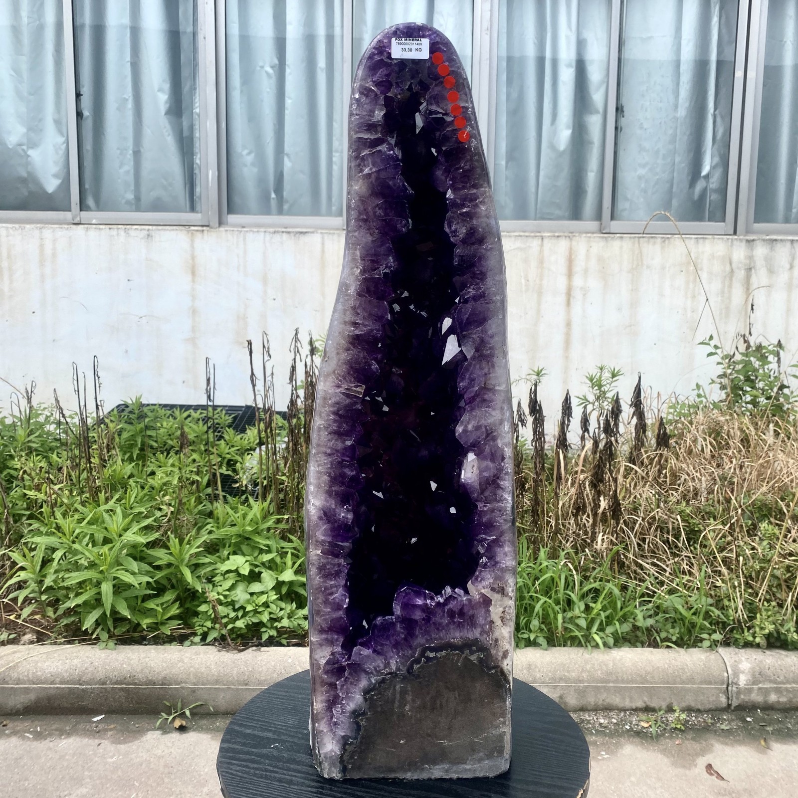 72LB Top Natural Amethyst quartz Crystal Church Cathed Crystal Wand Reiki ener