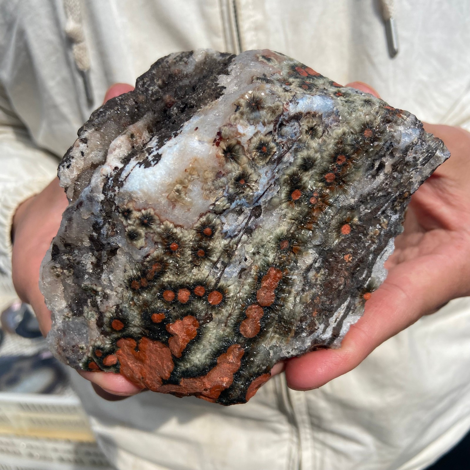 2.6lb Rare Natural colourful ocean jasper quartz crystal rough mineral specimen