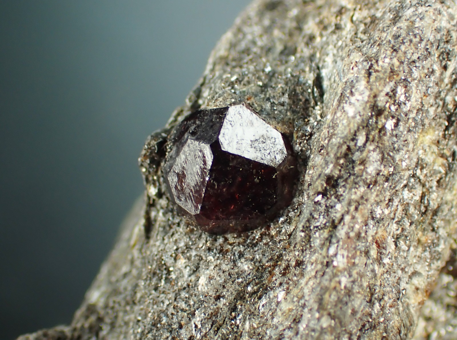 GARNET var ALMANDINE crystals on matrix 6,5 x 4,0 x 3,5 cm Alaska, U.S. 1082N