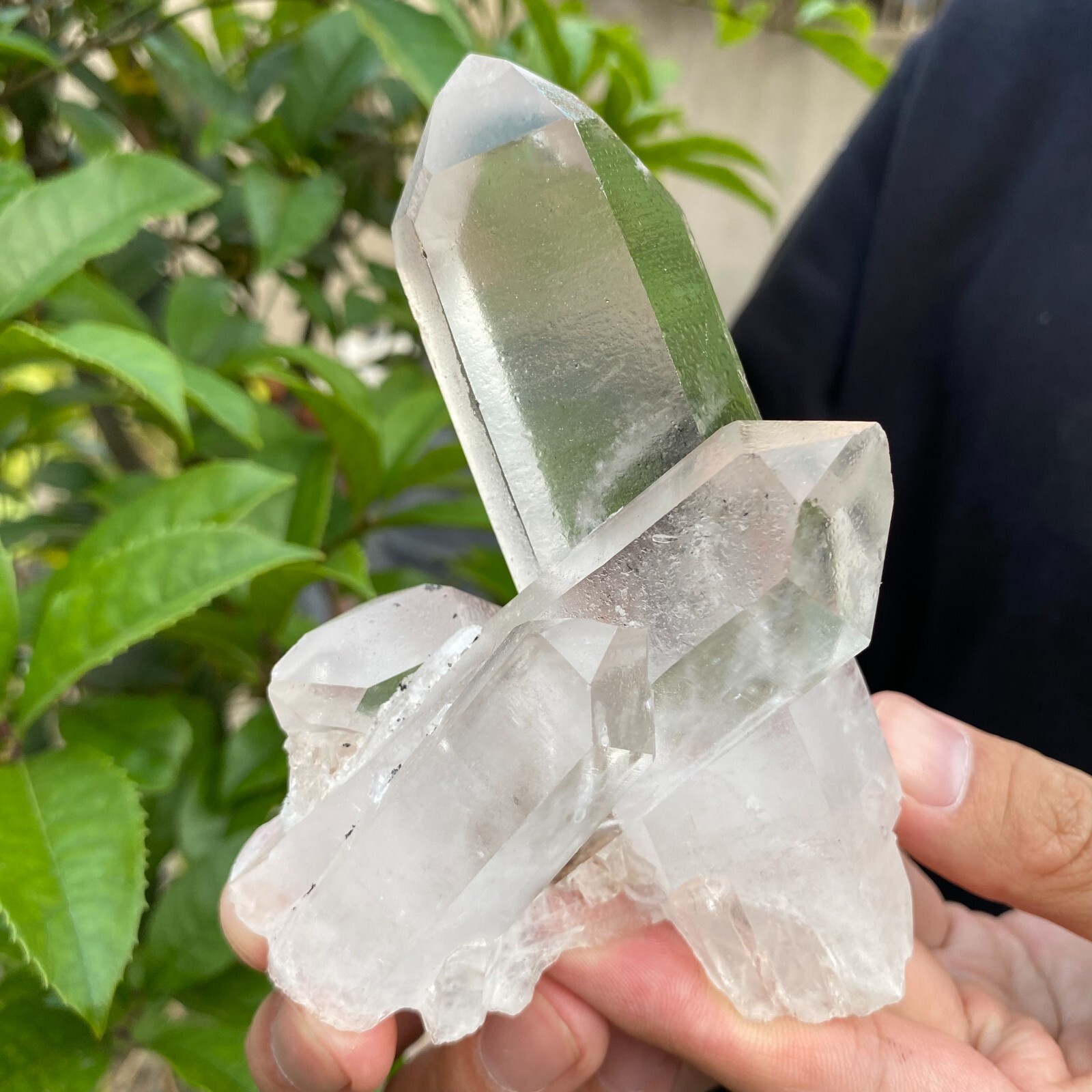 0.7lb Natural Clear White quart Crystal Cluster Raw Healing Specimen
