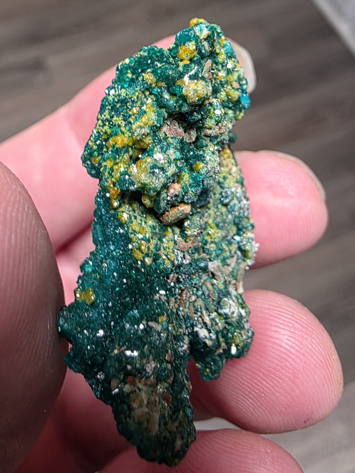 DIOPTASE w/ Wulfinite Crystal Mineral Specimen Cluster Green CONGO AFRICA 4.5 cm