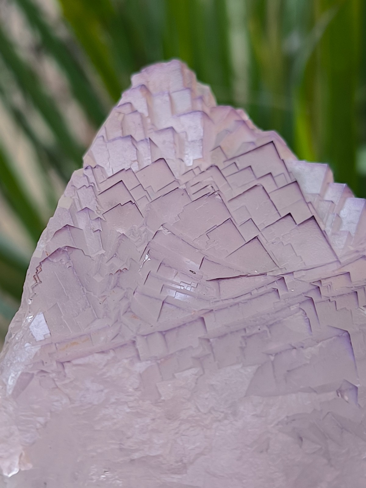 630g Natural Step Wise Cubic Fluorite Purple Lining Crystals Mineral Specimen
