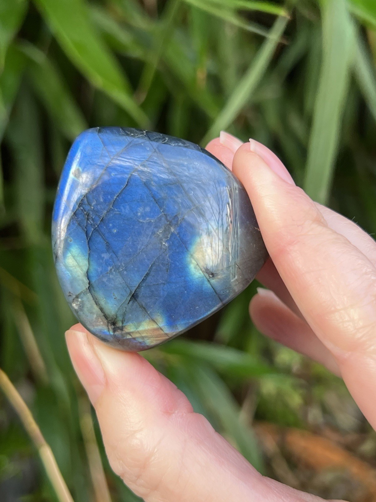 Deep Blue Labradorite Freeform Iridescent Crystal AAA+ 7