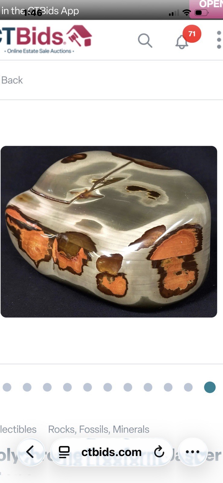 Stunning Madagascar POLYCHROME JASPER 9”x 8” and 15.8 Pounds