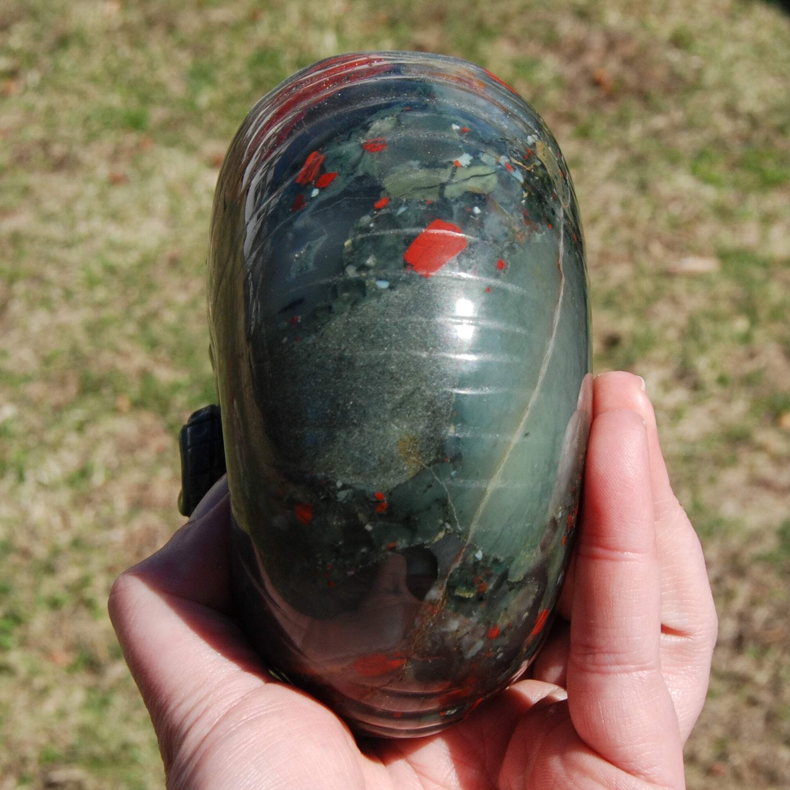 6in 4.2LB HUGE African Bloodstone Crystal Nautilus Octopus Skull