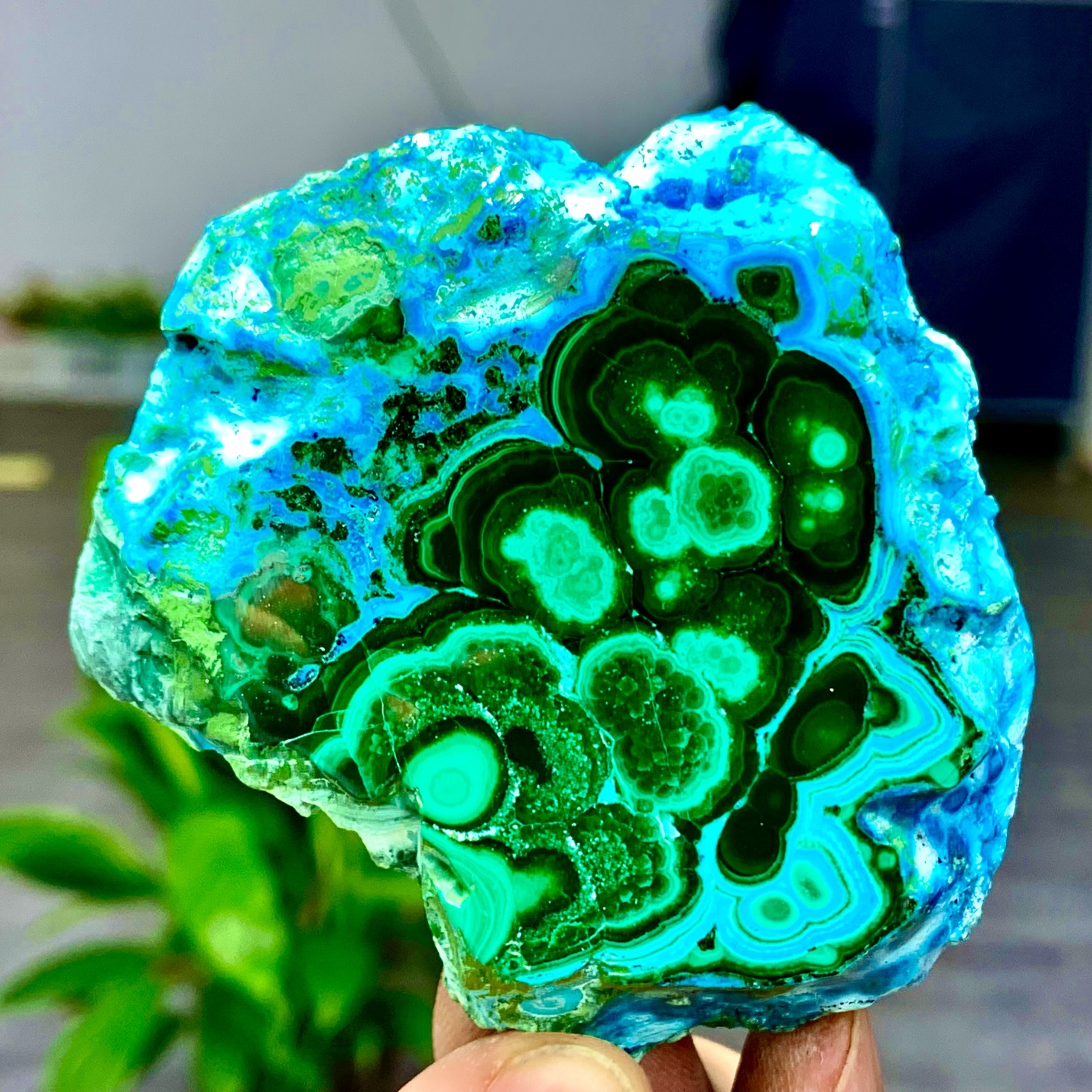 205G Natural Chrysocolla/Malachite transparent cluster rough mineral sample