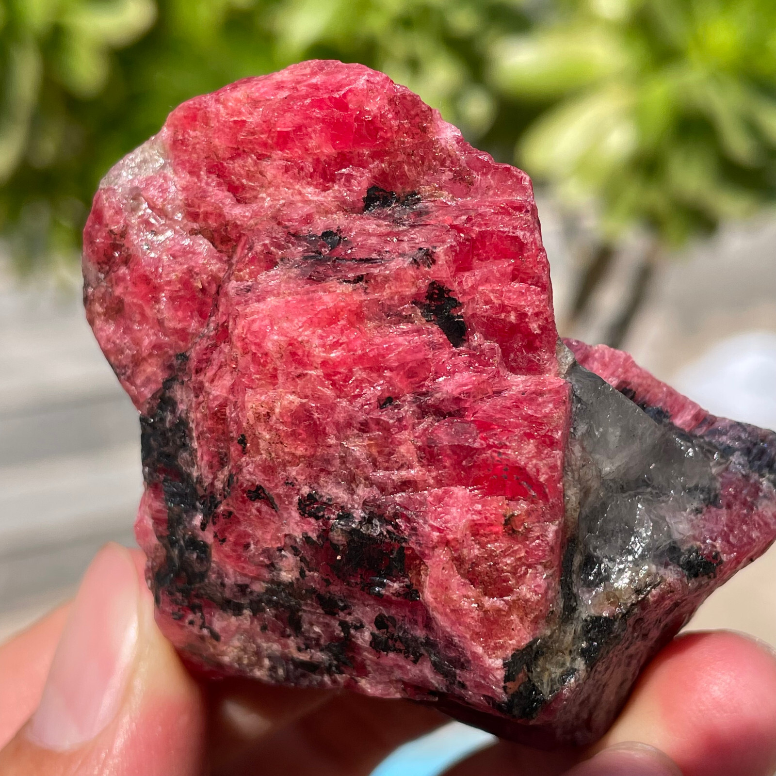 91g Small Rough Stone Natural Red Black Rhodonite Quartz Crystal Specimen