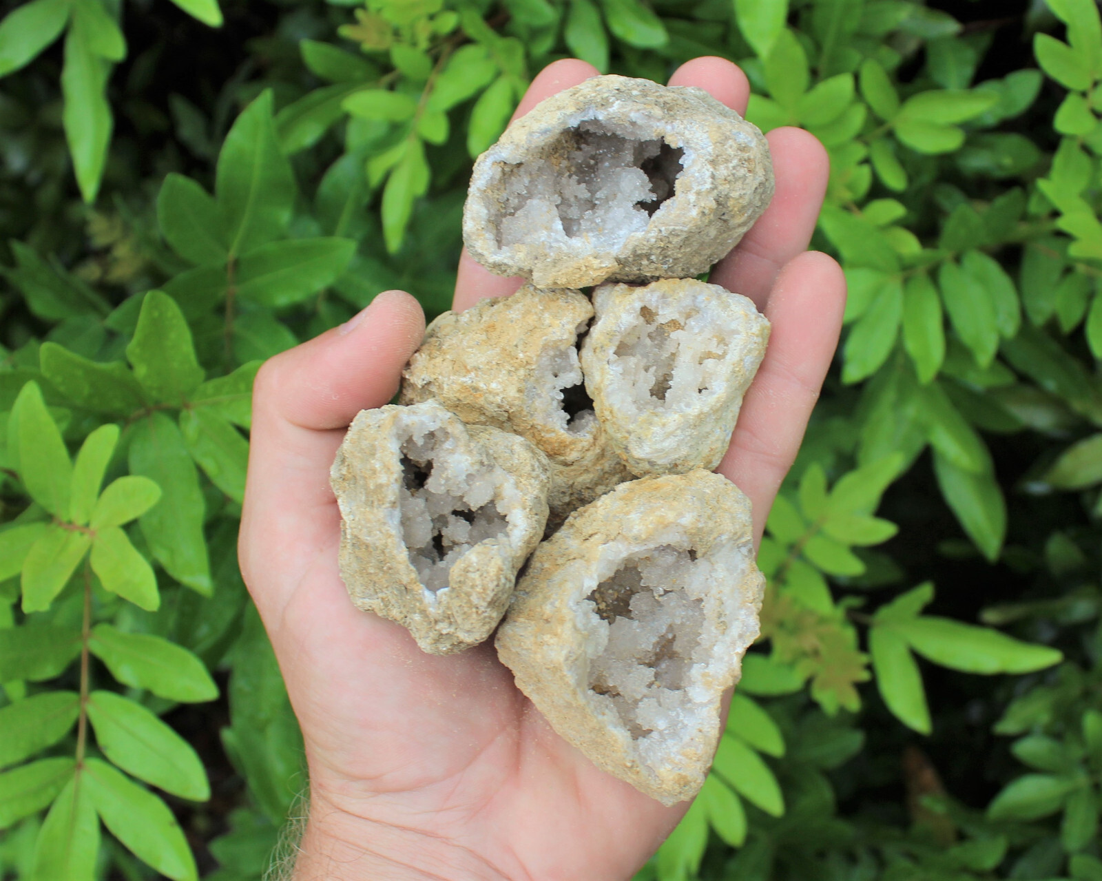 Break Your Own Geodes CLEARANCE Box Lot (Large Opened Natural Moroccan Crystals)
