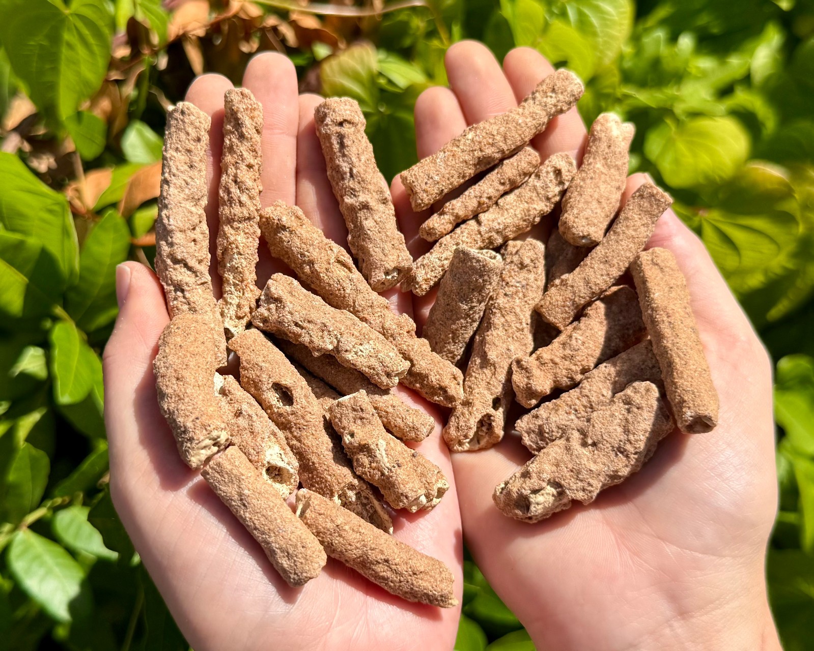 RARE Fulgurite Crystals, Natural Lightning Formed Fulgurite Wholesale Bulk Lots