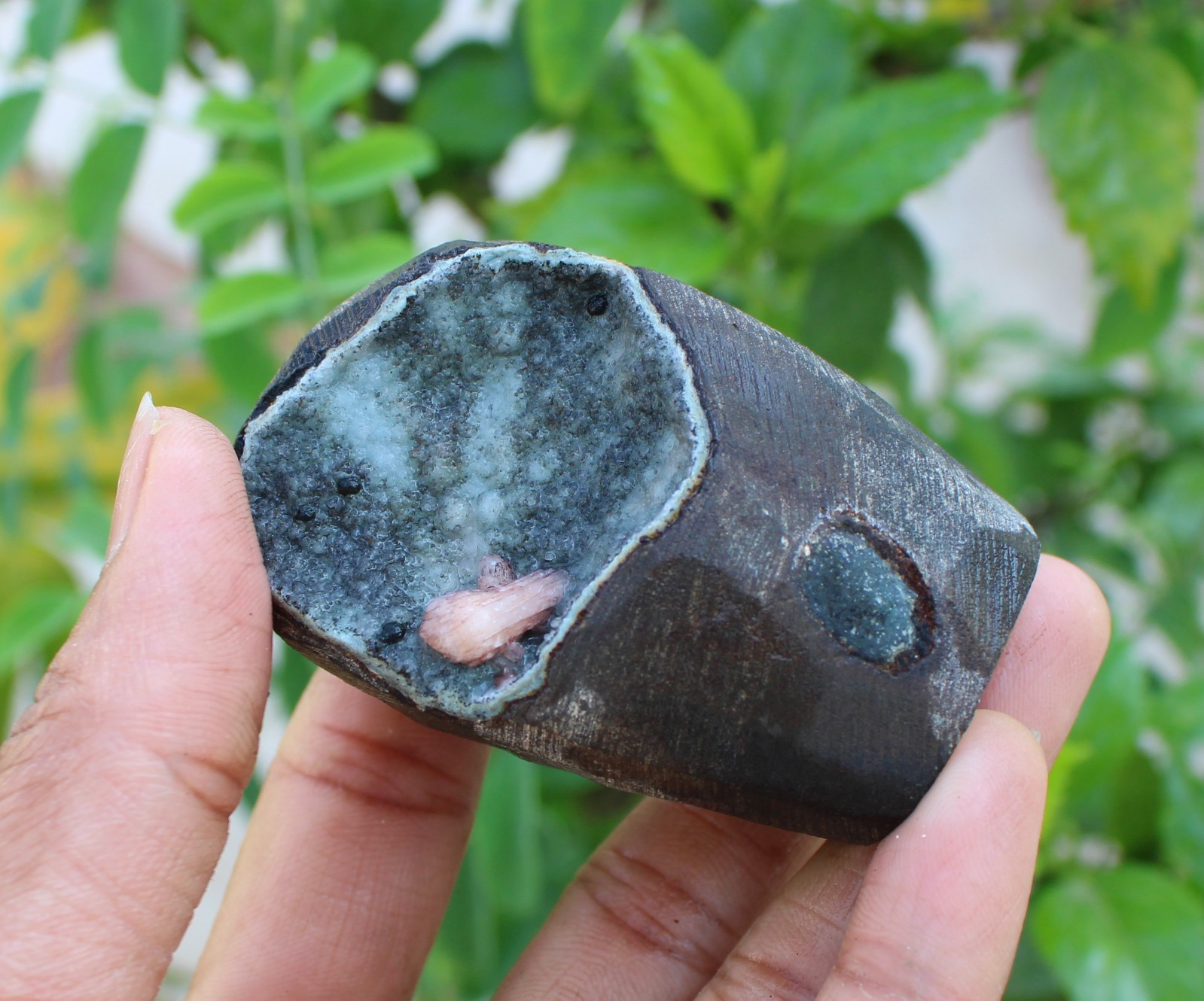 stilbite in chalcedony coral geode minerals specimen #A43