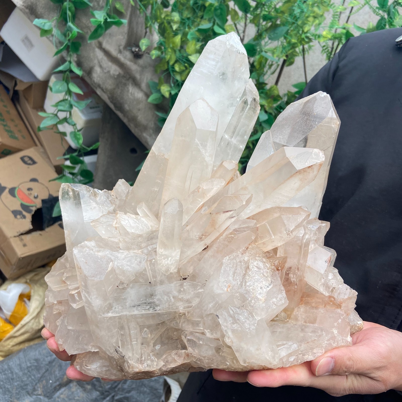 29.9lb Natural Clear White Crystal Quartz Cluster Rough Healing Specimen