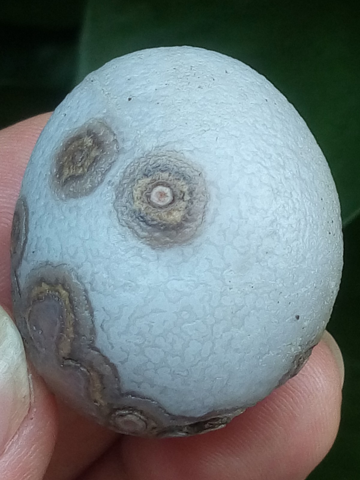 32mm Beautiful Natural agate Gobi agate eye agate stone collection