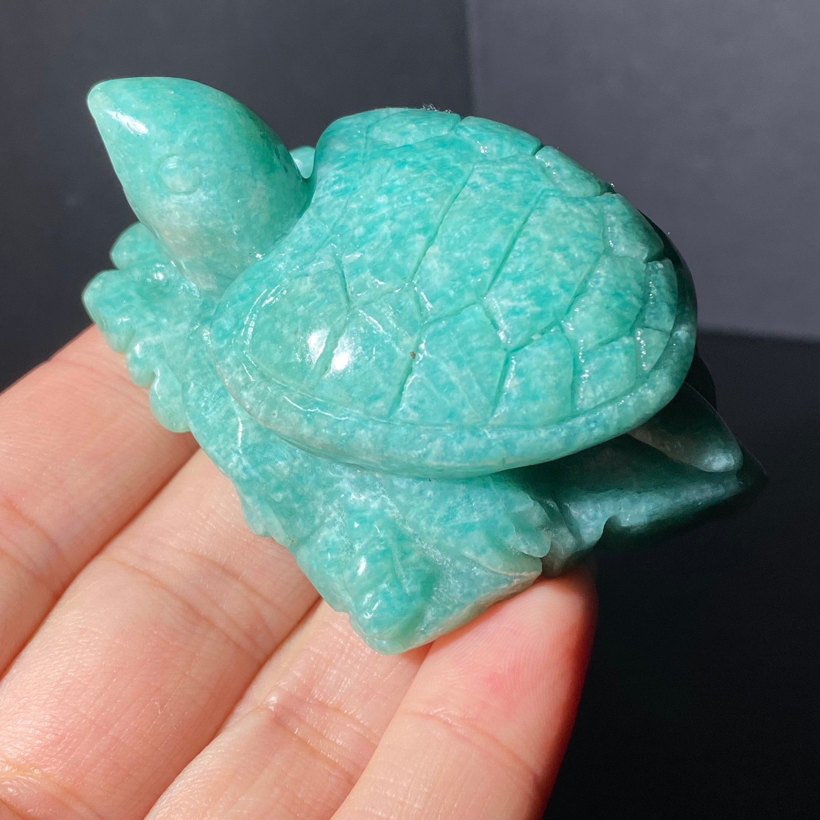 108G Natural Tianhe stone Turtle Quartz Tortoise Carved Crystal Skull Healing