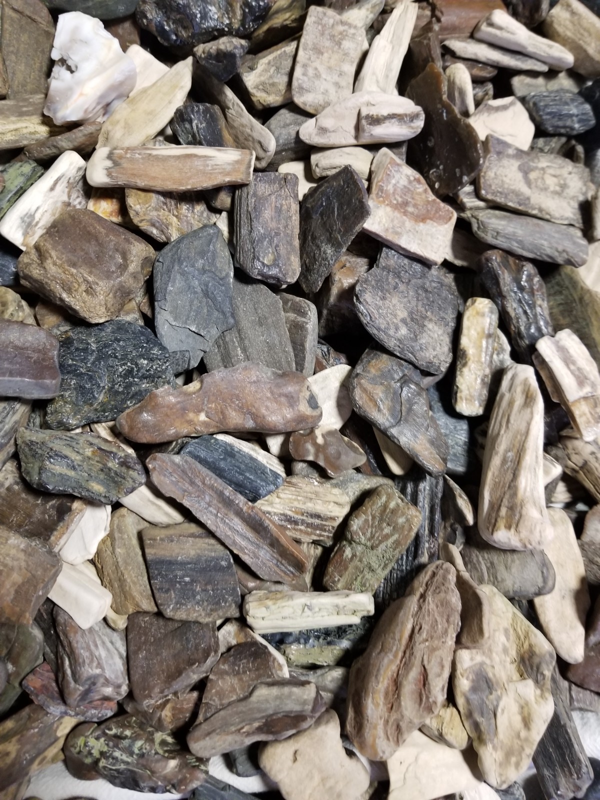 Rough Petrified Wood Stones for Tumbling Bulk Mix from Nebraska 2 lb Lot