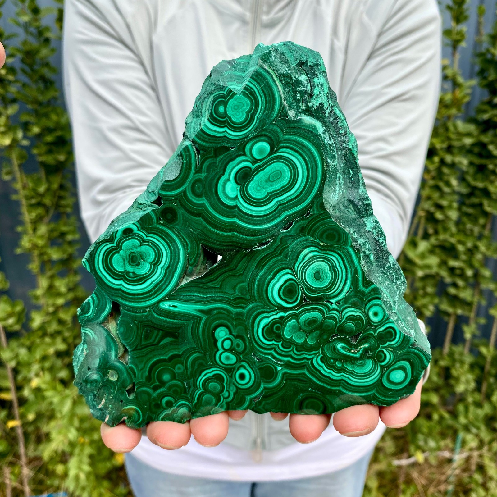 1.41LB Natural malachite slice quartz crystal luster mineral specimen