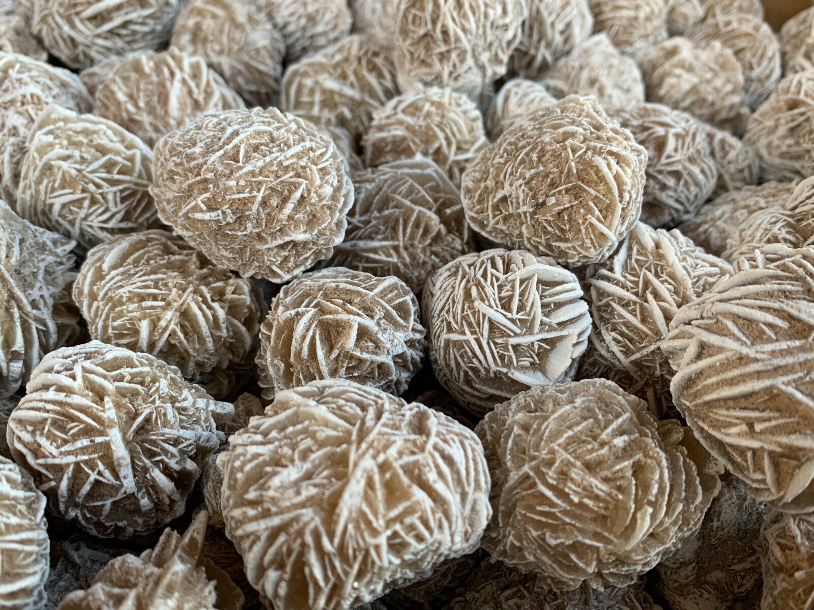 Desert Rose Selenite, 1.25-1.75 Inch Desert Gypsum Rose, Wholesale Bulk Lot