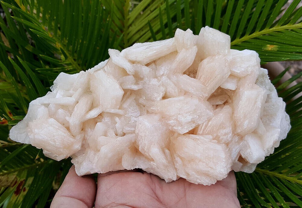 445g Big Spectacular 6 3/4 Inch World Class Stilbite Crystal Cluster – India