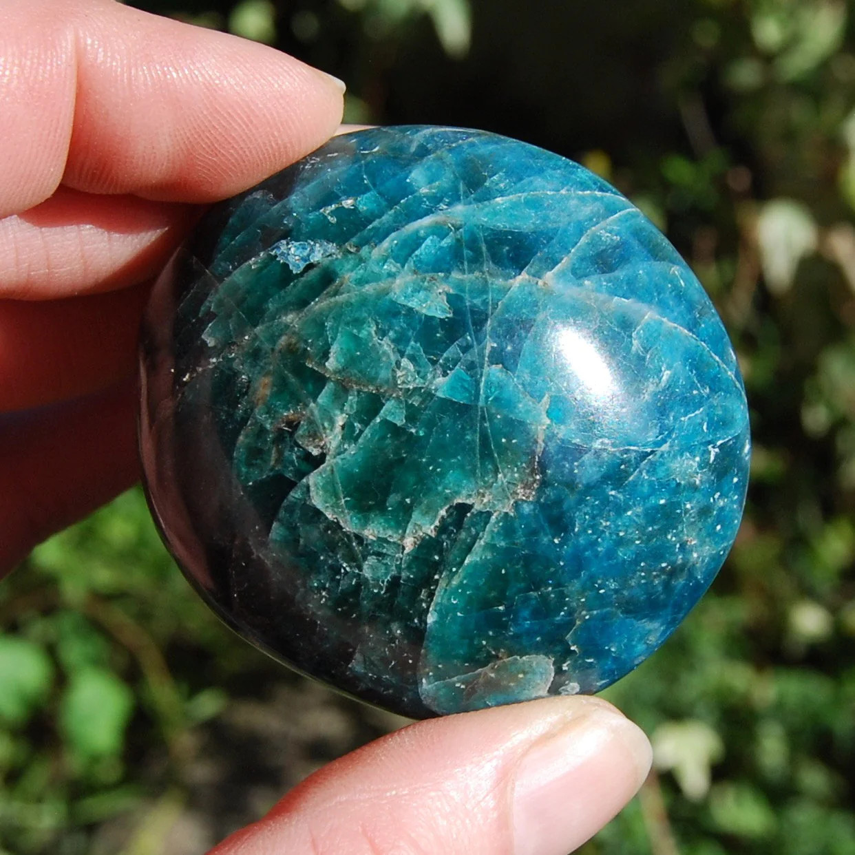 ONE Natural Gemmy Apatite Crystal Palm Stone, Madagascar