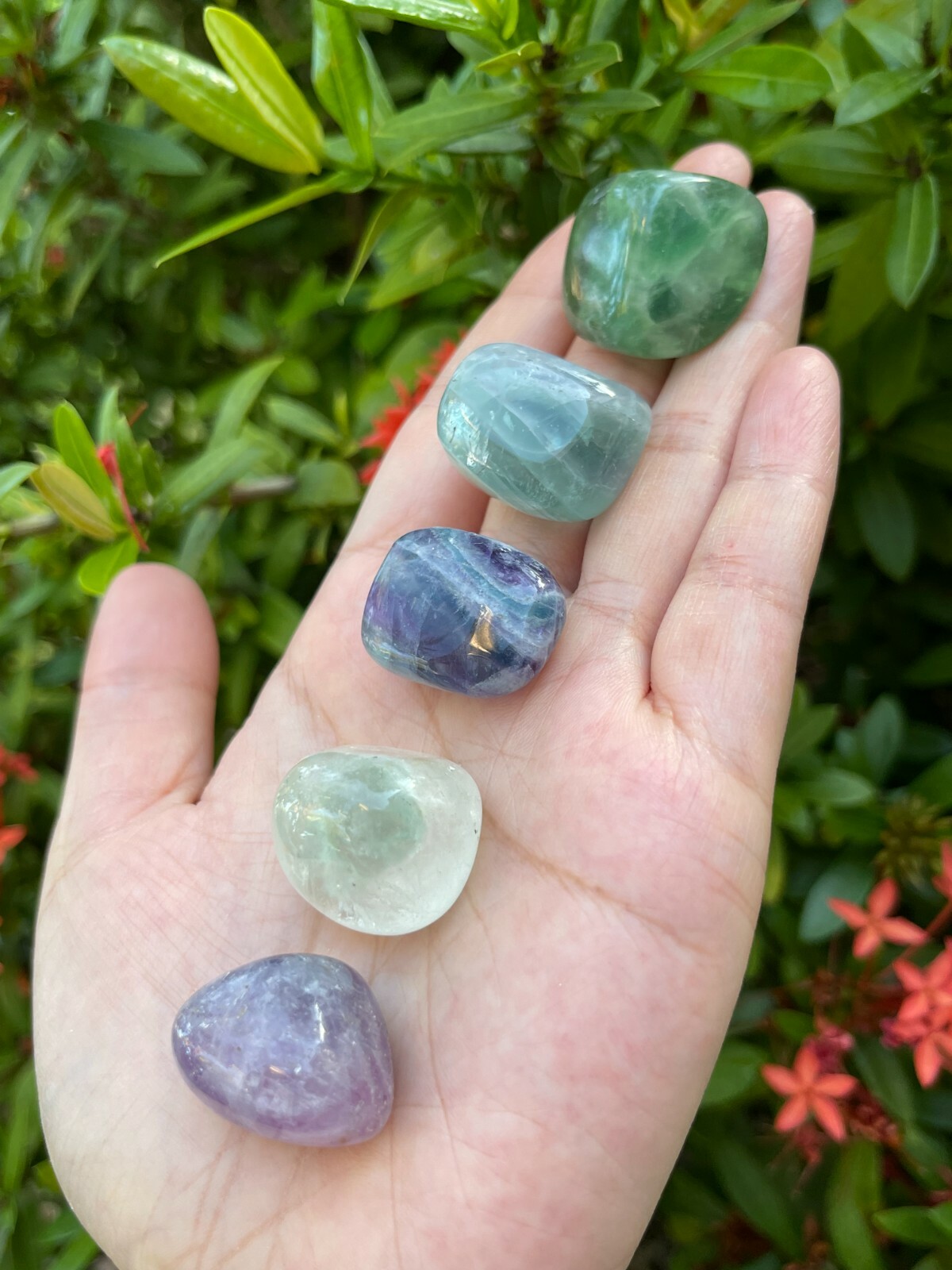 Grade A++ Fluorite Tumbled Stones, 0.8″-1.25″ Tumbled Fluorite, Pick How Many