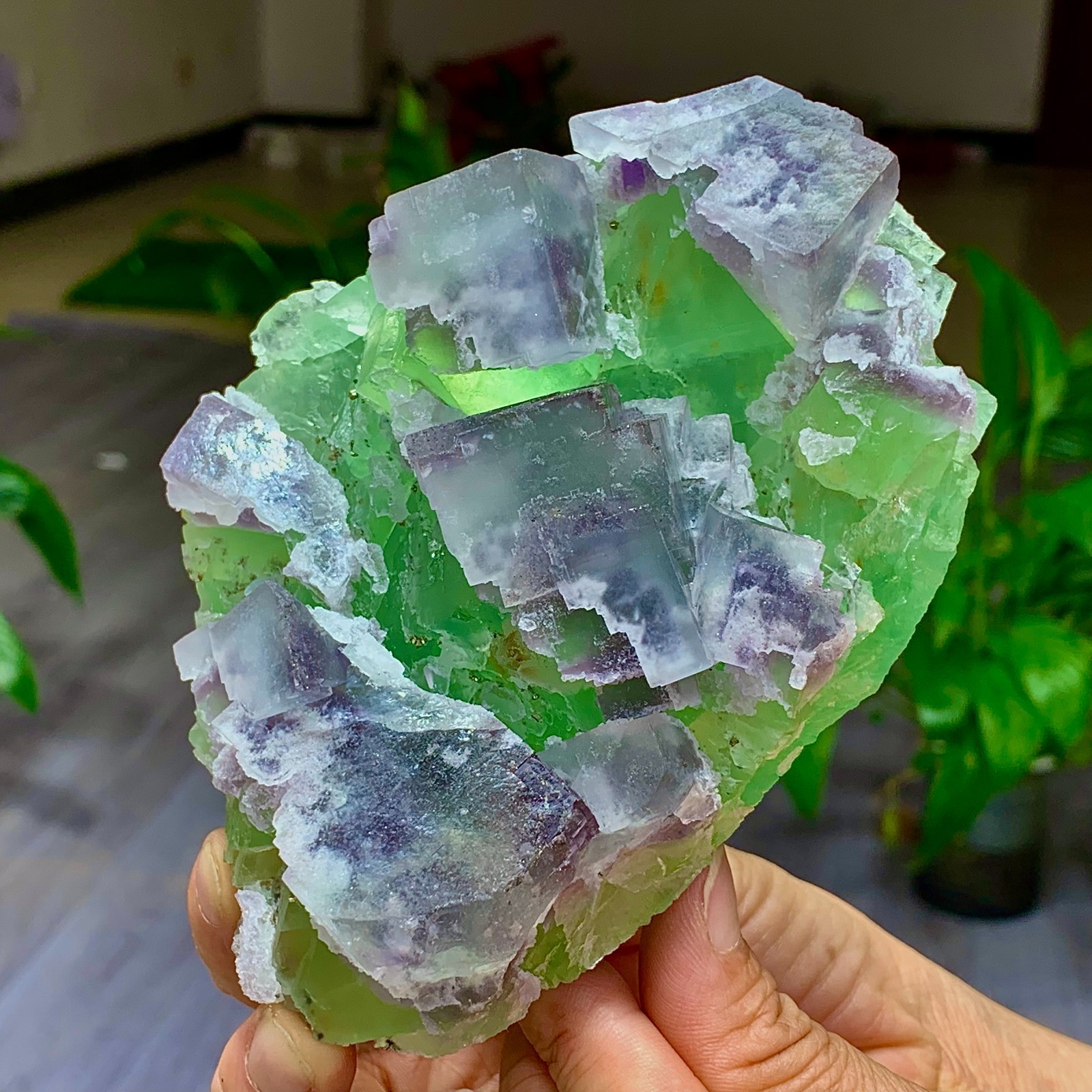 1.7LB Rare transparent green purple cubic Zhejiang fluorite mineral sample