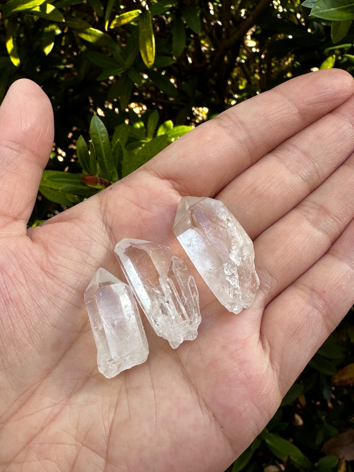 0.75″ – 1.5″ Small Rough Clear Quartz Point, Raw Healing Crystals, Wholesale Lot