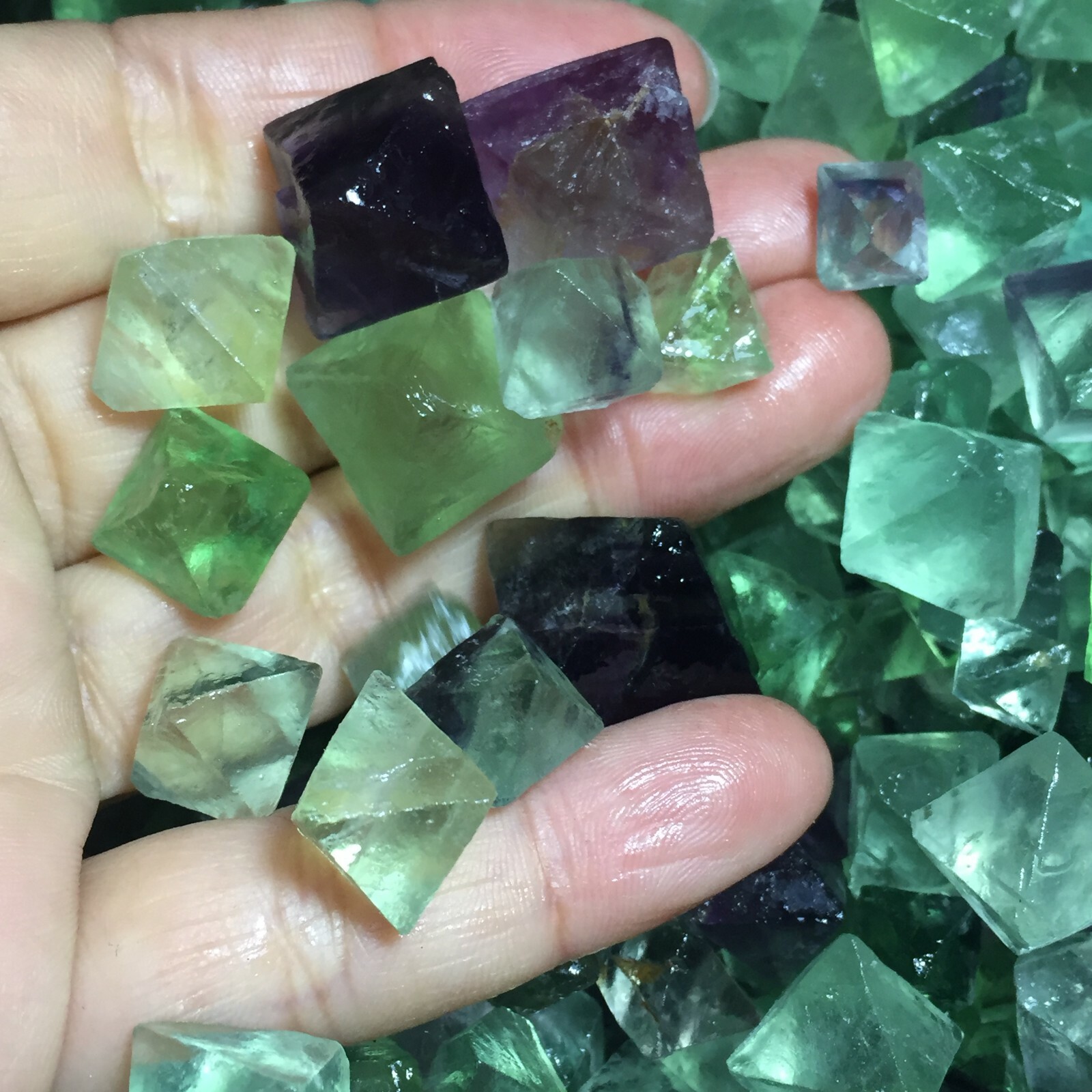 1000g Mix Bulk Octahedron Fluorite Stone Crystal Rainbow Colorful Tumbled Stones