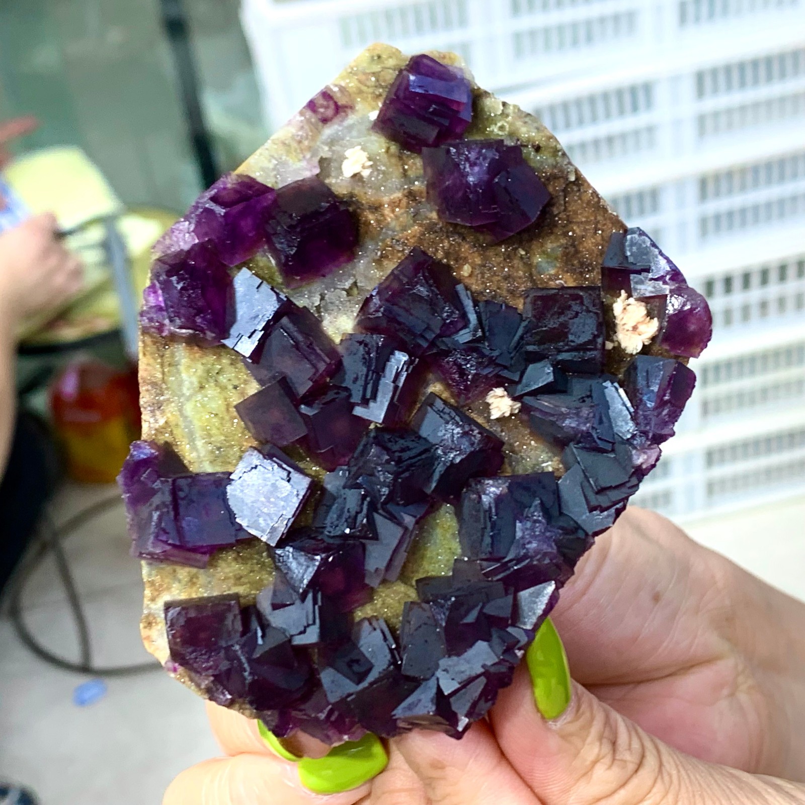 331G Rare Purple cubic fluorite mineral crystal sample/Zhejiang