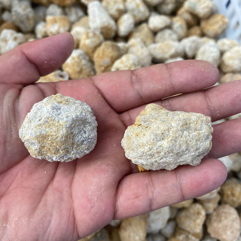 3PCs 1.5” – 2”Geode Unopened Lot Crack Break Your Own Geode Unbroken Quartz