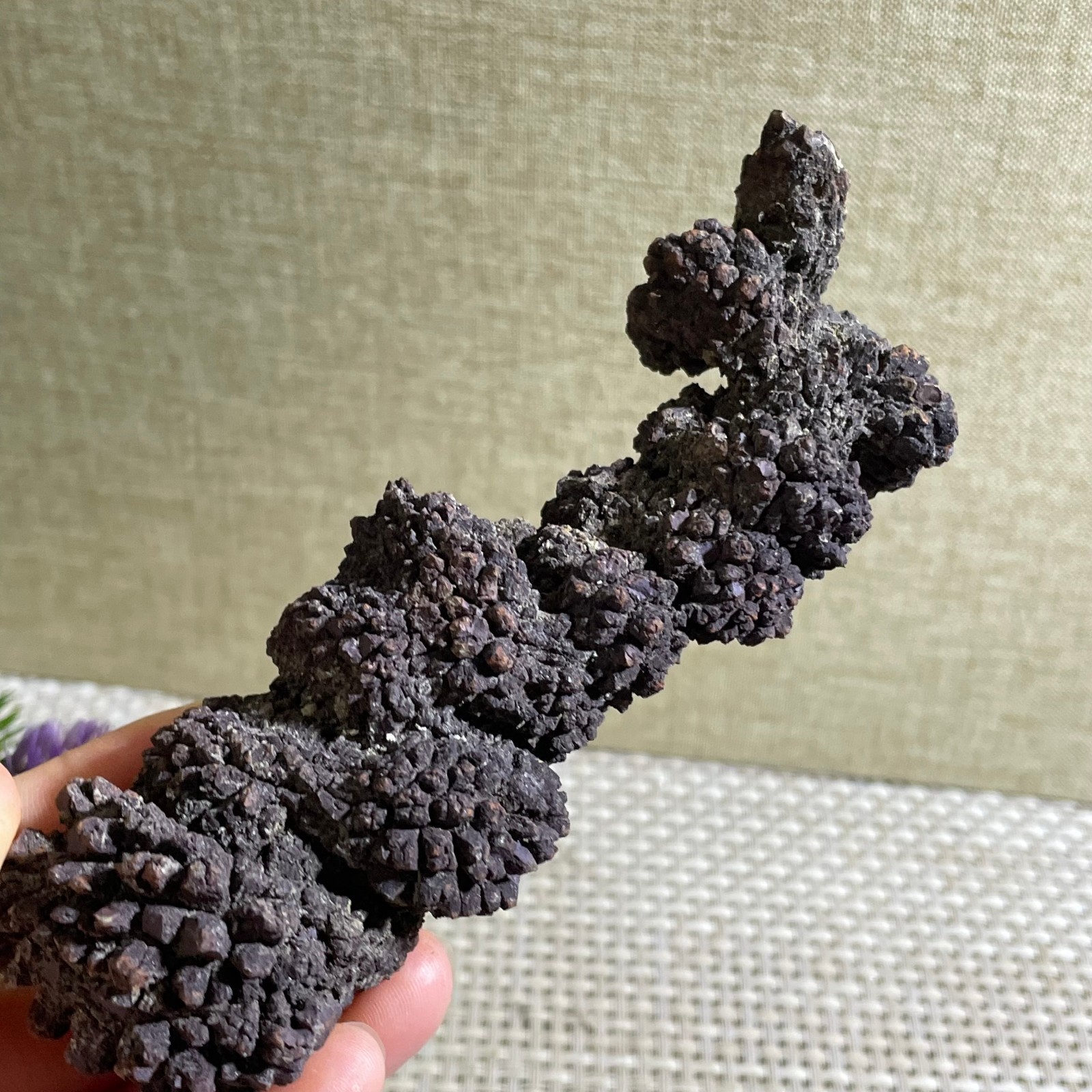 236g Top! Best Rare dung coprolite Poop specimen c146