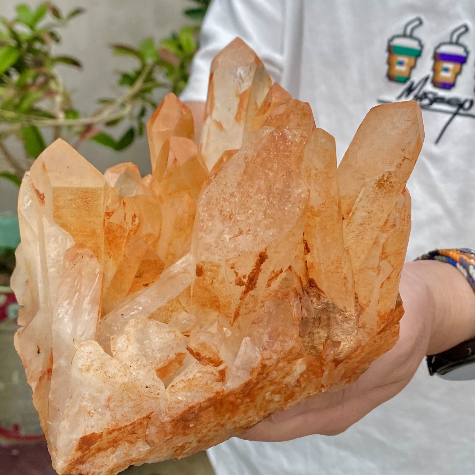 3.65LB Natural Clear Beautiful White QUARTZ Crystal Cluster Specimen Healing