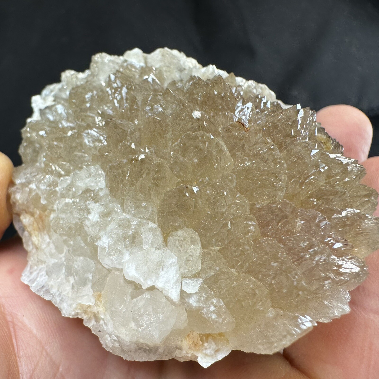 Lot of 5 Quartz Crystal Druse Clusters on Lace Agate | Missouri
