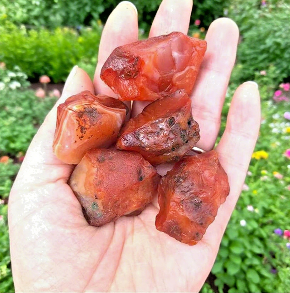 5PCS Raw Carnelian Crystal Stone Natural Orange-Red Gemstone – Spiritual Stone